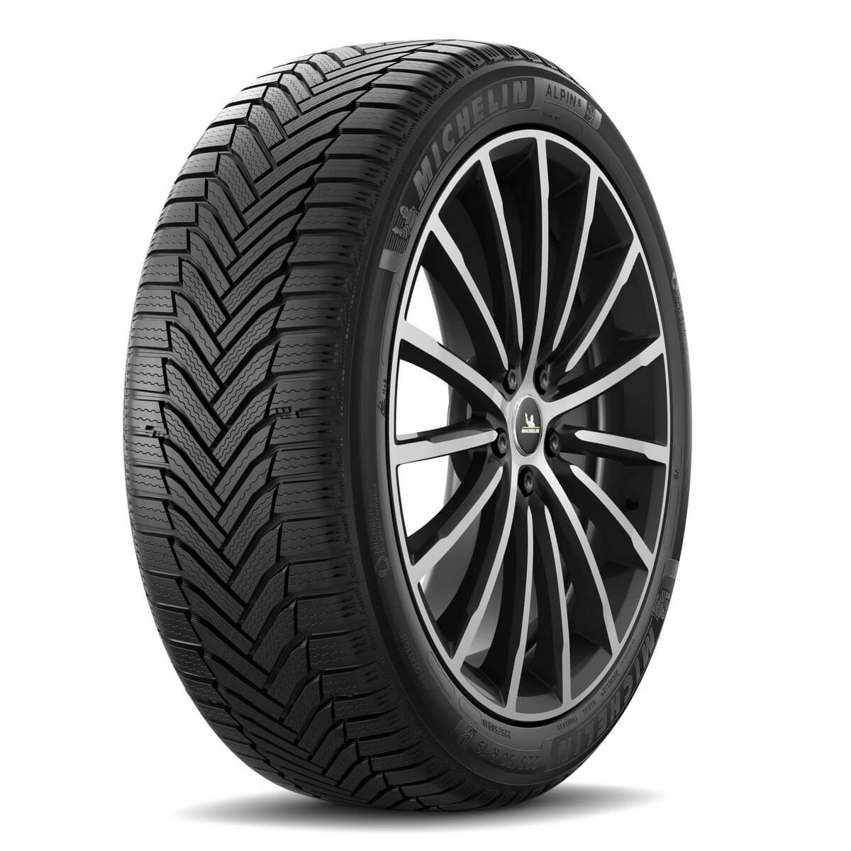 MICHELIN ALPIN 6 R19